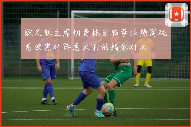 欧足联主席切费林亲临萨拉热窝观看波黑对阵意大利的精彩对决
